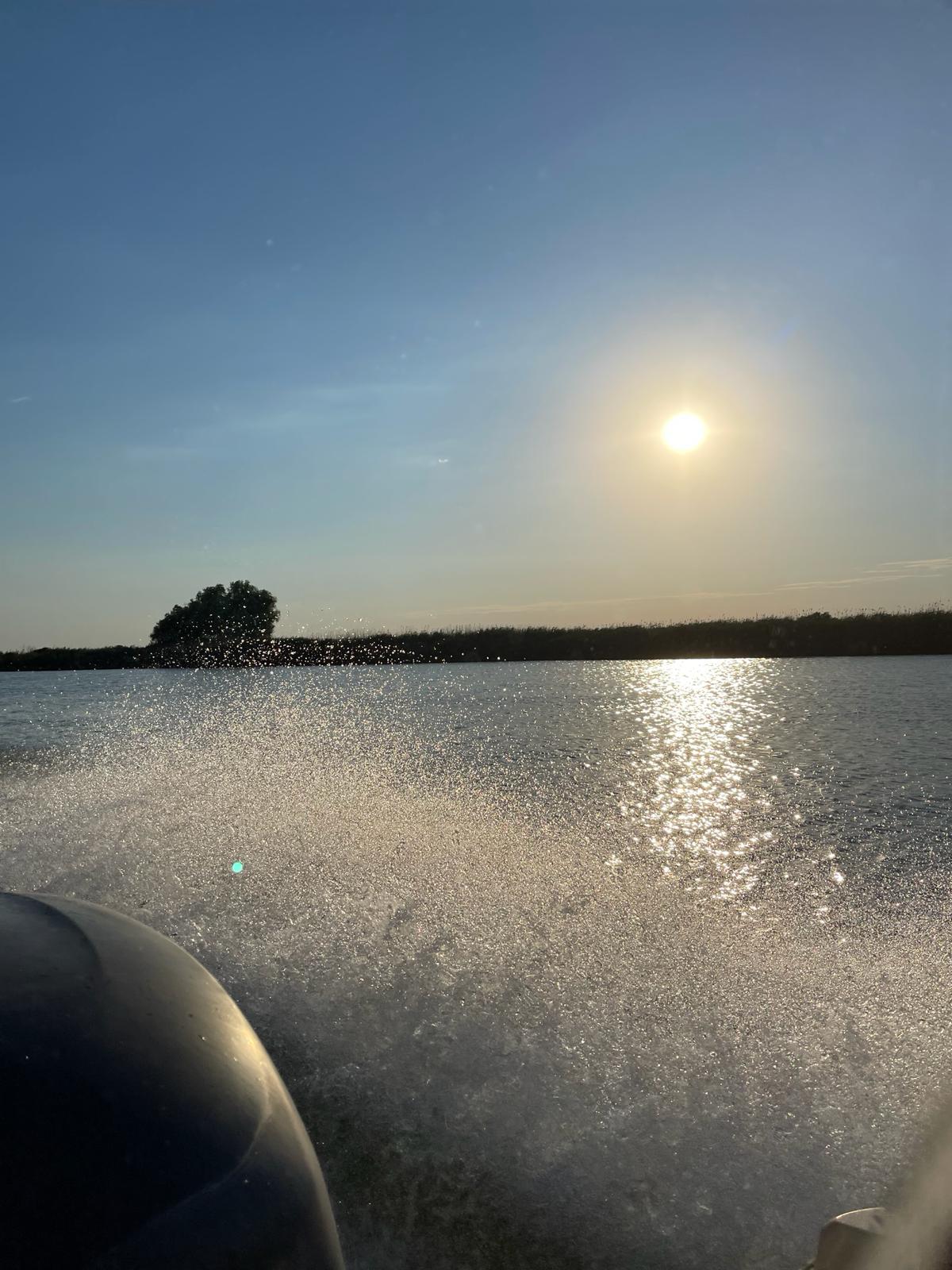 Pelicani pe lac
